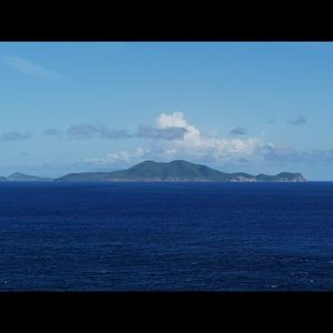 Meet your Posher, Frida